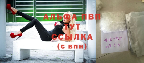 прущие грибы Бородино