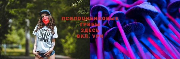 дурь Белая Холуница