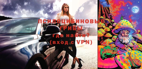 дурь Белая Холуница