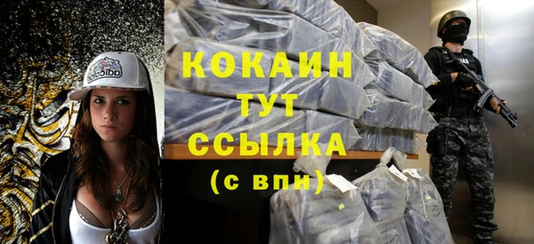 прущие грибы Бородино
