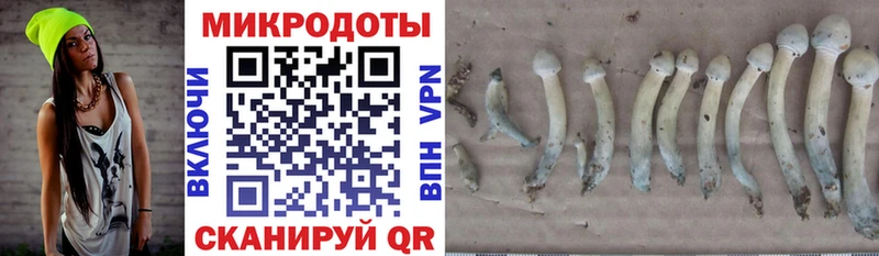 Галлюциногенные грибы мицелий  купить наркотик  Зеленокумск 